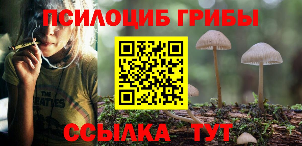 Пушкино  Псилоцибиновые грибы MAGIC MUSHROOMS  Вход с VPN 