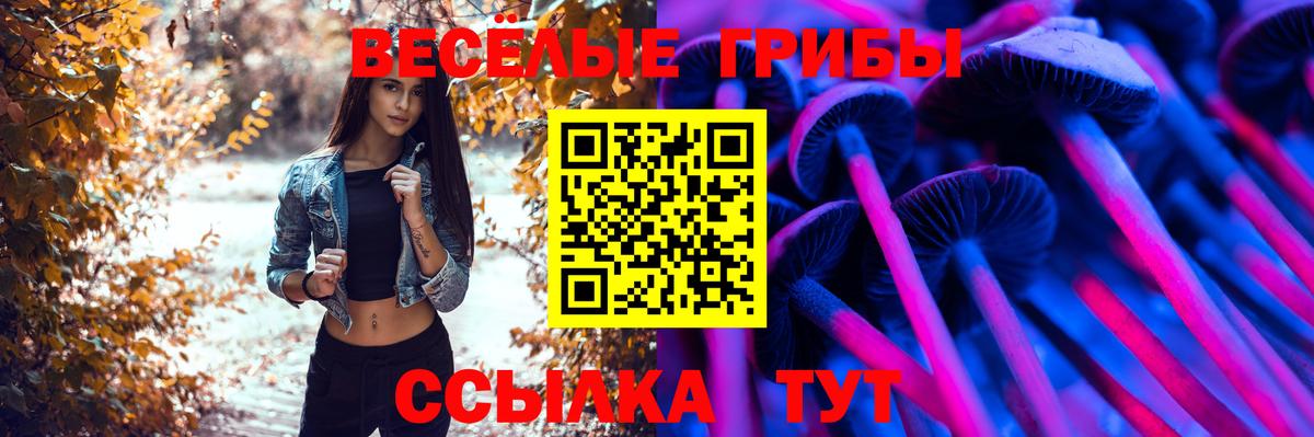 Галлюциногенные грибы MAGIC MUSHROOMS Пушкино