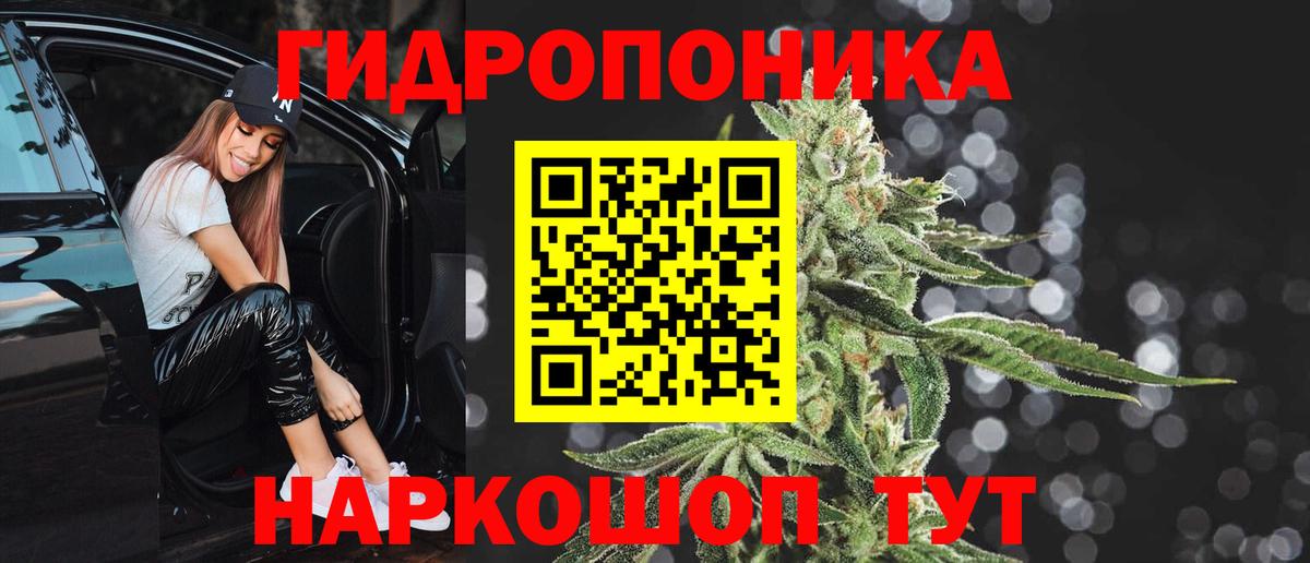 Бошки марихуана ГИДРОПОН  Шишки марихуана планчик  Вход с VPN  Пушкино 